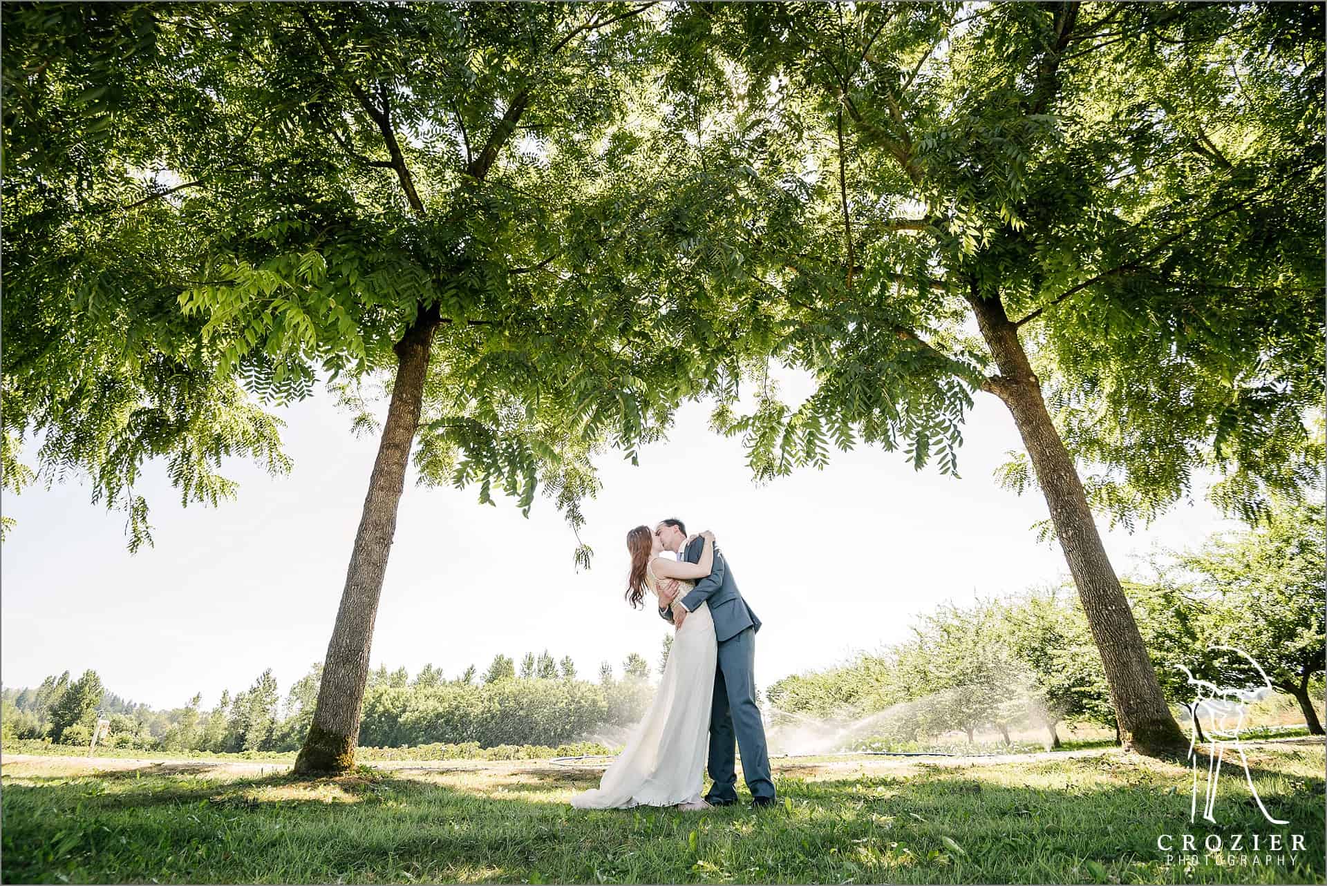 Wedding ring fields