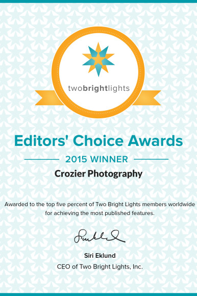 We Won An Award! TwoBrightLights Editors choice Award